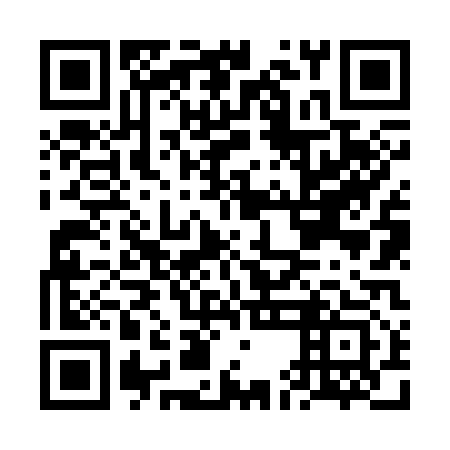 QR code for FEN 313