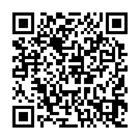 QR code for FEQ 313