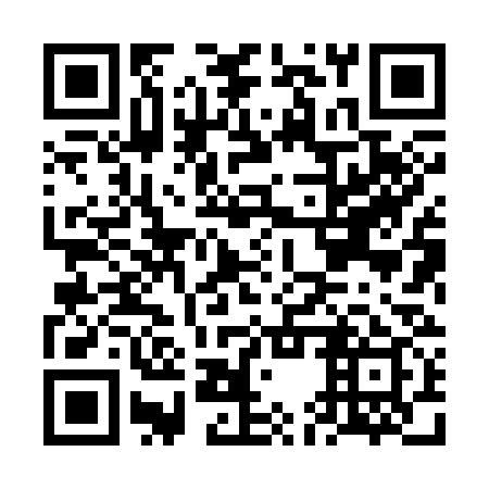 QR code for FEX 339
