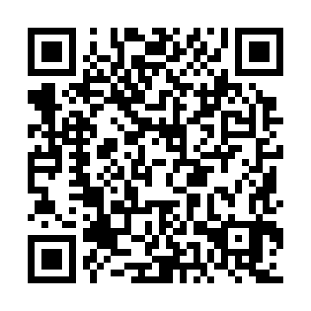 QR code for FEY 383