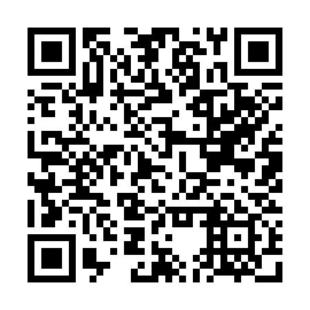 QR code for plate FEY 339