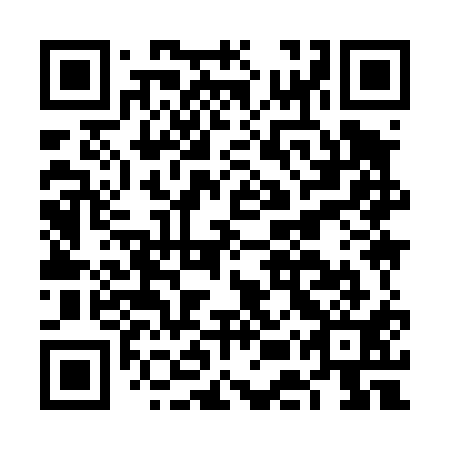 QR code for FEY411