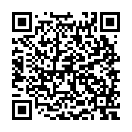 QR code for FEZ 385