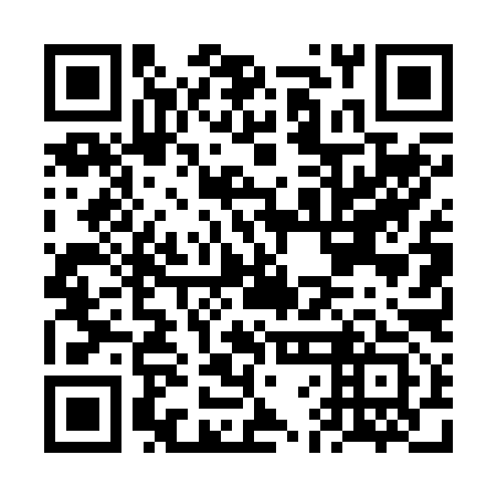 QR code for plate FFD 293