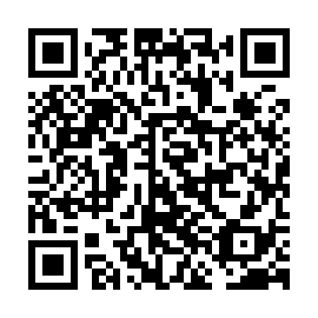 QR code for FFI938