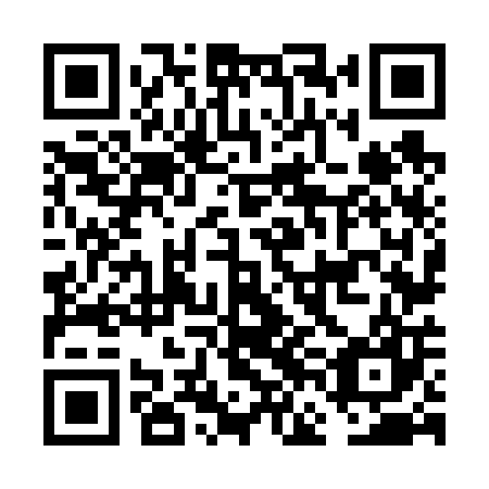 QR code for plate FFN 607