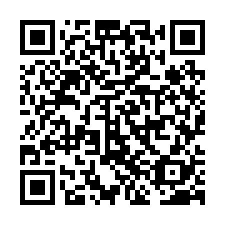 QR code for FFO 228