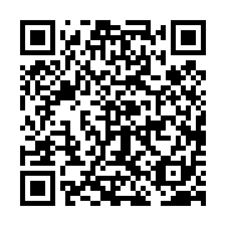 QR code for FFP 411