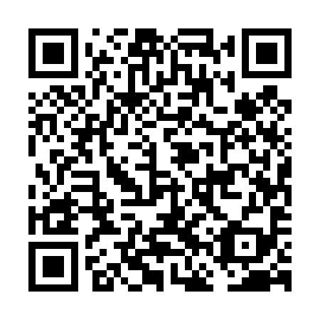 QR code for plate FFU 499