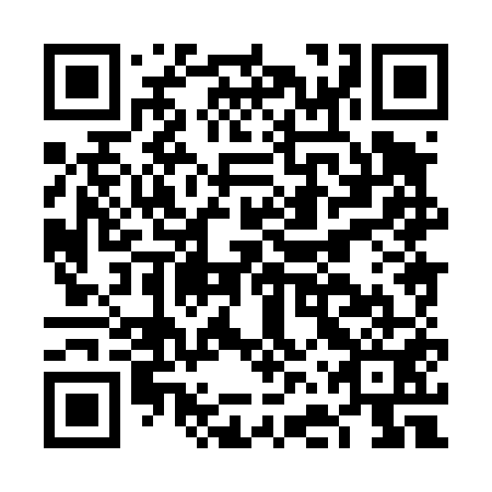 QR code for FFX451