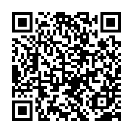 QR code for FGS382