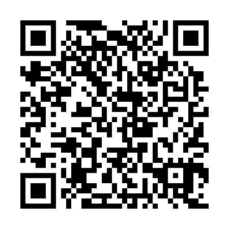 QR code for plate FGT 305