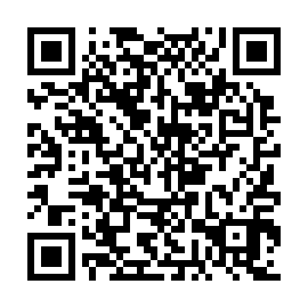 QR code for plate FGT 310