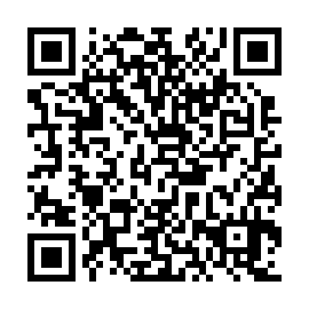 QR code for plate FHV 234