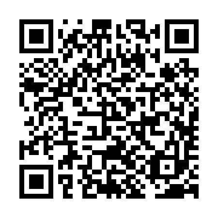 QR code for FIB 293