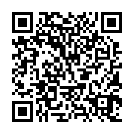 QR code for plate FIE 200