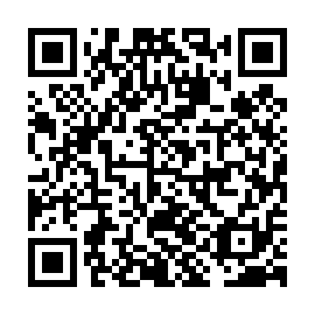 QR code for plate FIE 411