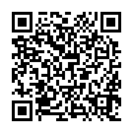 QR code for plate FIF 392