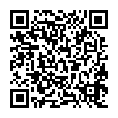 QR code for FIG299