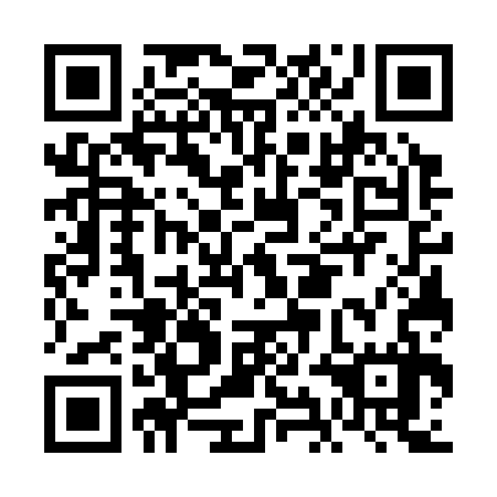 QR code for FIG337