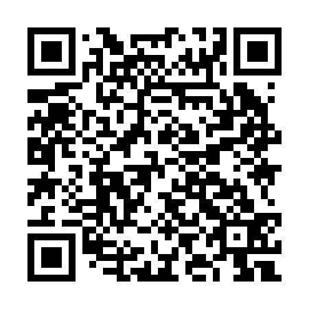 QR code for FII233