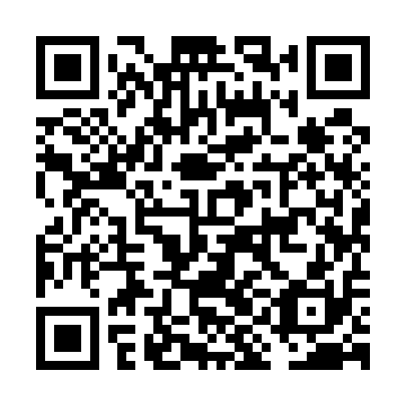 QR code for plate FII 510