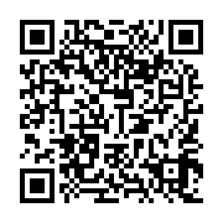 QR code for FIL919