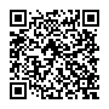 QR code for FIM 509