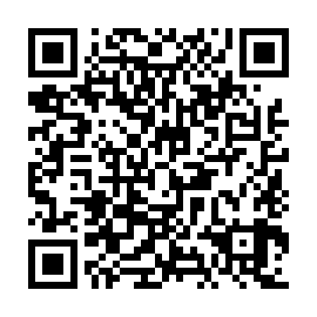 QR code for FIN 489