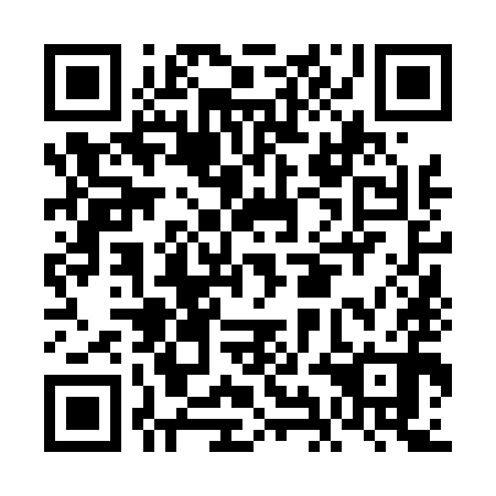 QR code for FIN 490