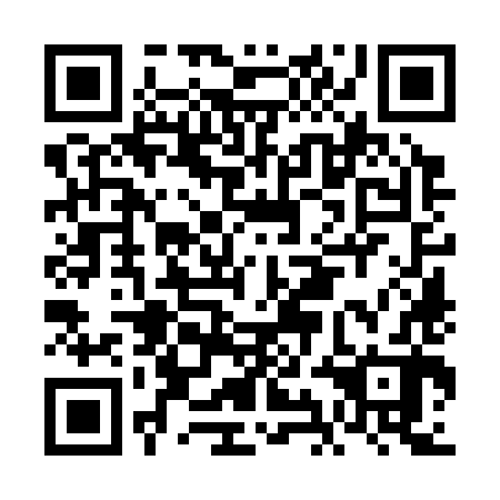 QR code for FIO 382