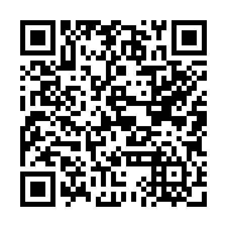 QR code for FIO 384