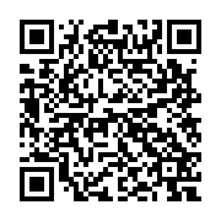 QR code for plate FIR 123