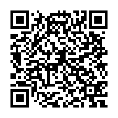 QR code for FIS 531