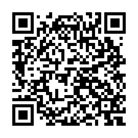 QR code for plate FIS 313