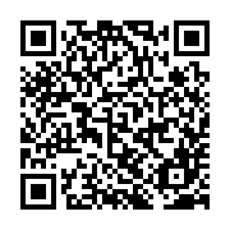 QR code for plate FIS 386