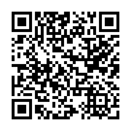 QR code for FIZ 931