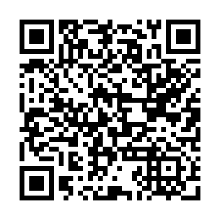 QR code for FJD313