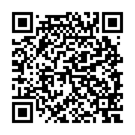 QR code for plate FJD 399