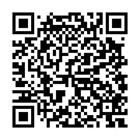QR code for plate FJF 009