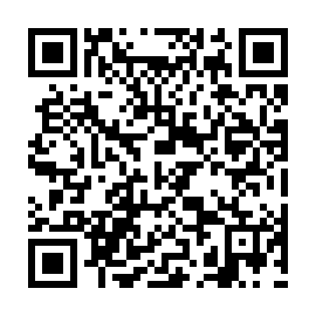 QR code for plate FJJ 285