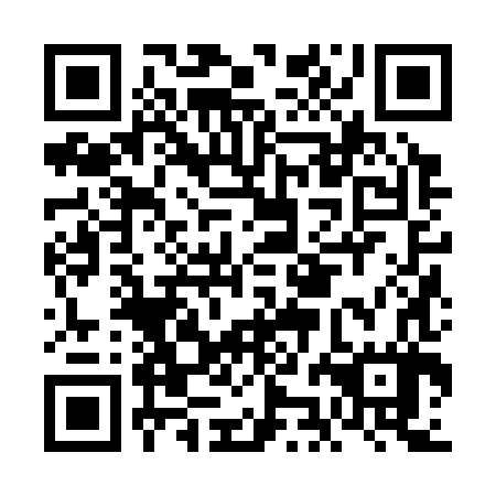 QR code for plate FJJ 387