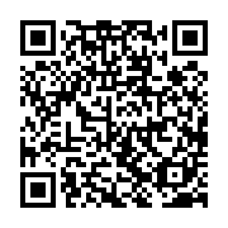 QR code for FJP 501