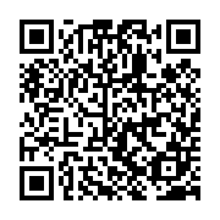 QR code for plate FJS 402