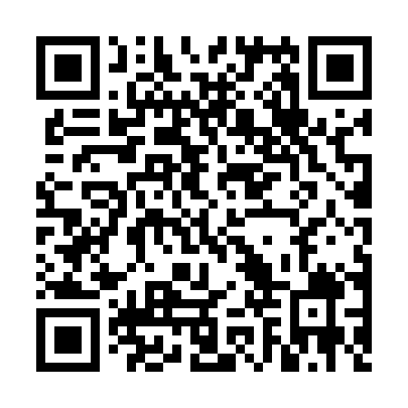 QR code for plate FJT 509