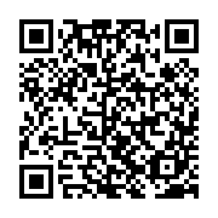 QR code for plate FJV 040