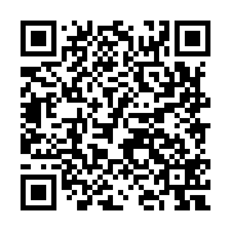 QR code for FKH 919