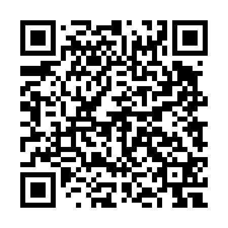 QR code for plate FKT 420