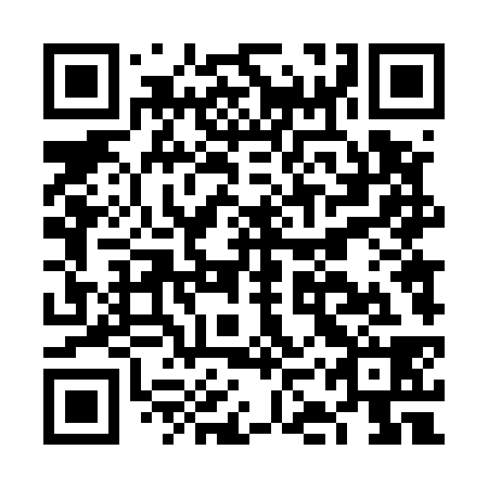 QR code for FKT538