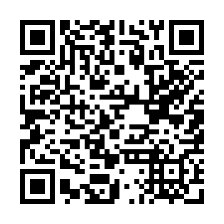 QR code for FLE 368
